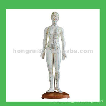 Human Acupuncture Points Model,19" Woman Body Model